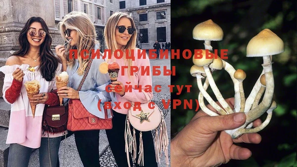 синтетический гашиш Коряжма