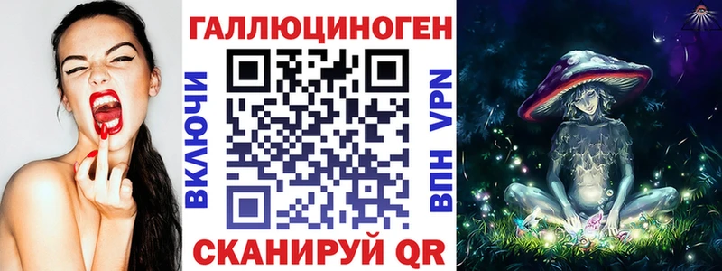 гидра ТОР  Сковородино  Псилоцибиновые грибы Psilocybine cubensis 